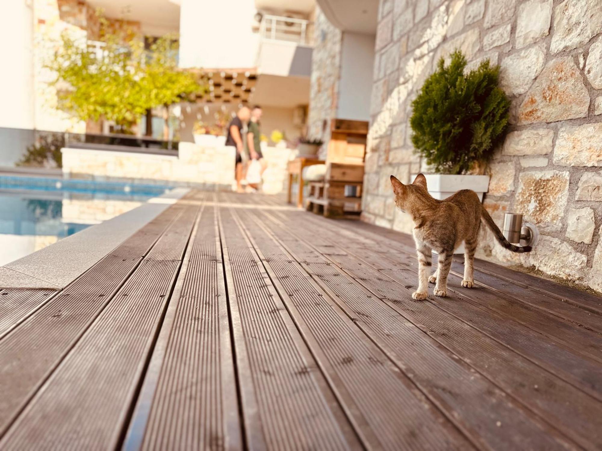 Villa Merkuri Himarë Exterior foto
